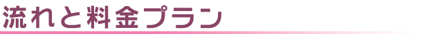 Ɨv